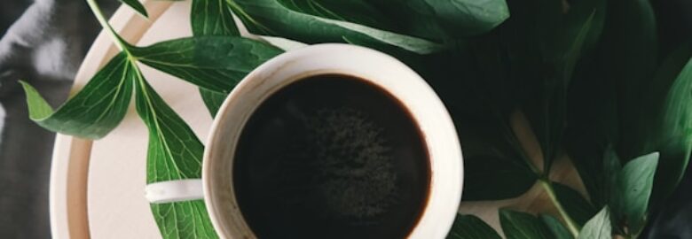Caramello’s Pretty Gardens.: Coffee Shop In Bloemfontein