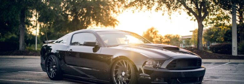 Avis Luxury Cars and Chauffeur Drive: Car rental agency In Roodewal Small Holdings, Bloemfontein
