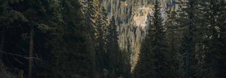 Thrifty Car Rental: Car rental agency In Bloemfontein Central, Bloemfontein