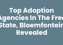 Top Adoption Agencies in the Free State, Bloemfontein Revealed Top Adoption Agencies in the Free State, Bloemfontein Revealed