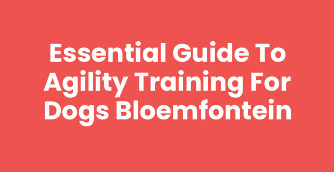 Agility training for dogs in Bloemfontein with obstacles