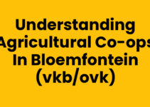 Understanding Agricultural Co-ops in Bloemfontein (VKB/OVK)