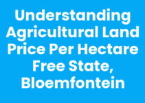 Understanding Agricultural Land Price per Hectare Free State, Bloemfontein