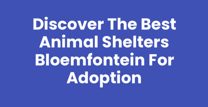 Animal shelters Bloemfontein - Adopting a pet for a better life