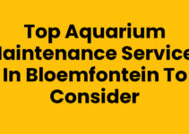 Top Aquarium Maintenance Services in Bloemfontein to Consider