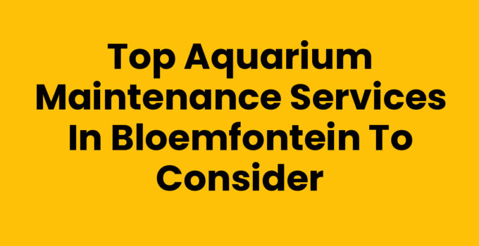 Top Aquarium Maintenance Services in Bloemfontein to Consider