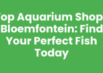 Top Aquarium Shops Bloemfontein: Find Your Perfect Fish Today