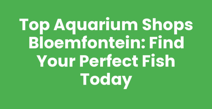 Aquarium shops Bloemfontein with colorful fish and aquascaping supplies