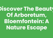 Discover the Beauty of Arboretum, Bloemfontein: A Nature Escape