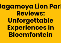 Bagamoya Lion Park Reviews: Unforgettable Experiences in Bloemfontein