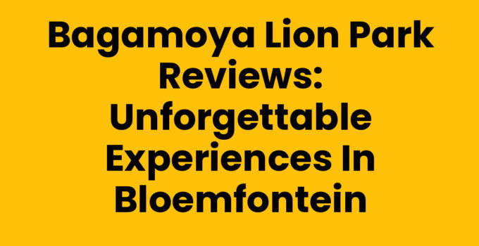 Bagamoya Lion Park reviews, Bloemfontein - close-up of lions