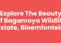 Explore the Beauty of Bagamoya Wildlife Estate, Bloemfontein