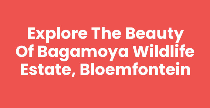 Bagamoya Wildlife Estate, Bloemfontein showcasing diverse wildlife and stunning landscapes.