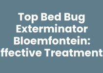 Top Bed Bug Exterminator Bloemfontein: Effective Treatments Top Bed Bug Exterminator Bloemfontein: Effective Treatments