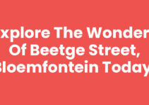 Explore the Wonders of Beetge Street, Bloemfontein Today! Explore the Wonders of Beetge Street, Bloemfontein Today!