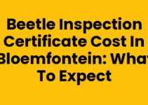 Beetle Inspection Certificate Cost in Bloemfontein: What to Expect