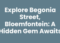 Explore Begonia Street, Bloemfontein: A Hidden Gem Awaits Explore Begonia Street, Bloemfontein: A Hidden Gem Awaits
