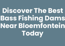 Discover the Best Bass Fishing Dams Near Bloemfontein Today Discover the Best Bass Fishing Dams Near Bloemfontein Today