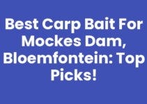 Best carp bait for Mockes Dam, Bloemfontein: Top Picks!