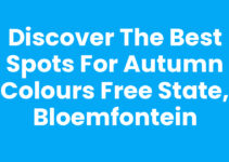 Discover the Best Spots for Autumn Colours Free State, Bloemfontein Discover the Best Spots for Autumn Colours Free State, Bloemfontein