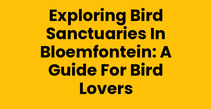 A tranquil view of bird sanctuaries in Bloemfontein filled with various bird species.