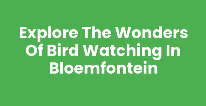 Explore the Wonders of Bird Watching in Bloemfontein