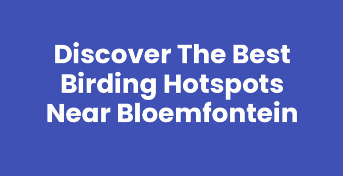 Birding hotspots near Bloemfontein showcasing diverse species and landscapes.