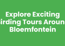 Explore Exciting Birding Tours Around Bloemfontein