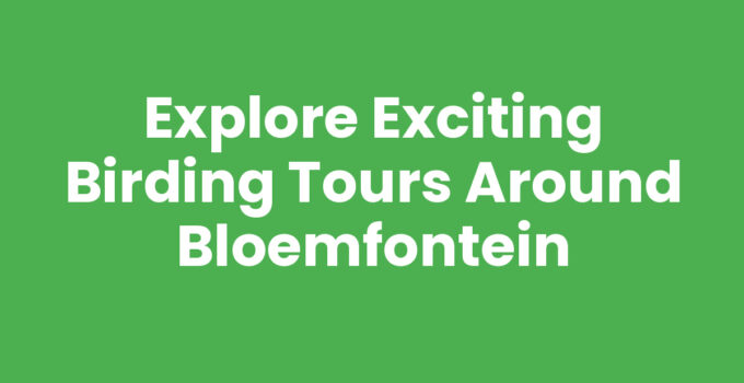 Birding tours around Bloemfontein showcasing local avian species