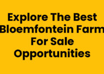 Explore the Best Bloemfontein Farm for Sale Opportunities Explore the Best Bloemfontein Farm for Sale Opportunities