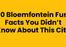 10 Bloemfontein Fun Facts You Didn’t Know About This City