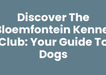 Discover the Bloemfontein Kennel Club: Your Guide to Dogs