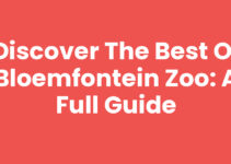 Discover the Best of Bloemfontein Zoo: A Full Guide
