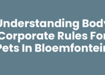 Understanding Body Corporate Rules for Pets in Bloemfontein