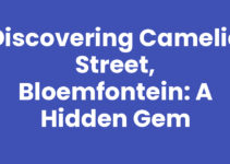 Discovering Camelia Street, Bloemfontein: A Hidden Gem