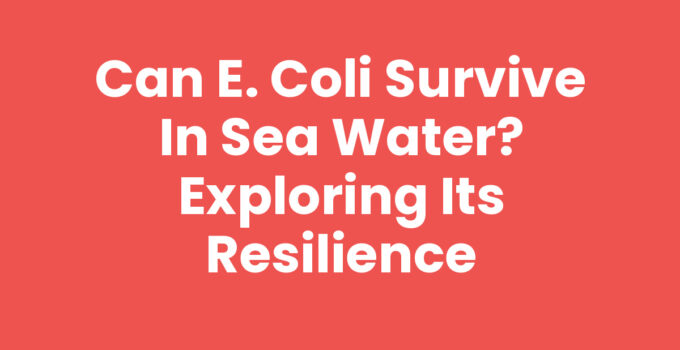 Can E. coli Survive in Sea Water? Exploring Its Resilience