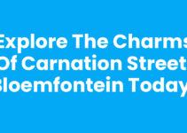 Explore the Charms of Carnation Street, Bloemfontein Today!