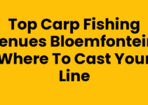 Top Carp Fishing Venues Bloemfontein: Where to Cast Your Line