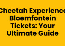 Cheetah Experience Bloemfontein Tickets: Your Ultimate Guide