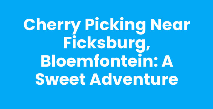 Cherry picking near Ficksburg, Bloemfontein with ripe cherries and lush orchards