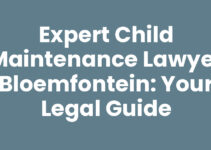 Expert Child Maintenance Lawyer Bloemfontein: Your Legal Guide