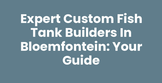 Custom fish tank builders in Bloemfontein creating stunning aquariums