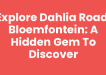 Explore Dahlia Road, Bloemfontein: A Hidden Gem to Discover