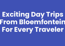 Exciting Day Trips from Bloemfontein for Every Traveler