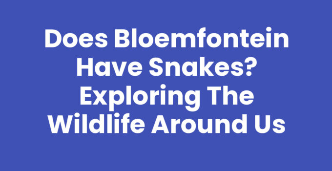 Does Bloemfontein Have Snakes? Exploring the Wildlife Around Us