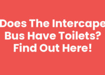 Does the Intercape Bus Have Toilets? Find Out Here!