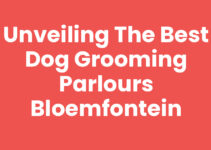 Unveiling the Best Dog Grooming Parlours Bloemfontein