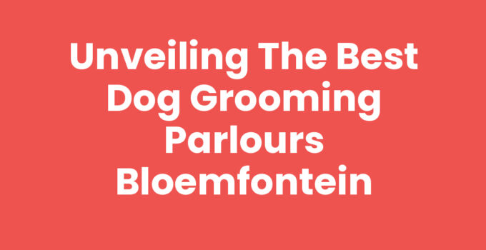 Dog grooming parlours Bloemfontein providing pampering services for pets.