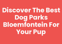 Discover the Best Dog Parks Bloemfontein for Your Pup