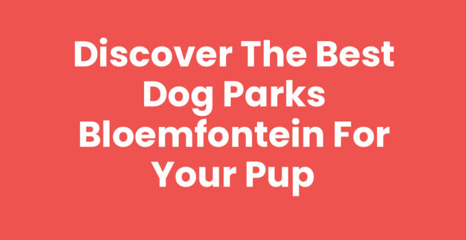 Discover the Best Dog Parks Bloemfontein for Your Pup